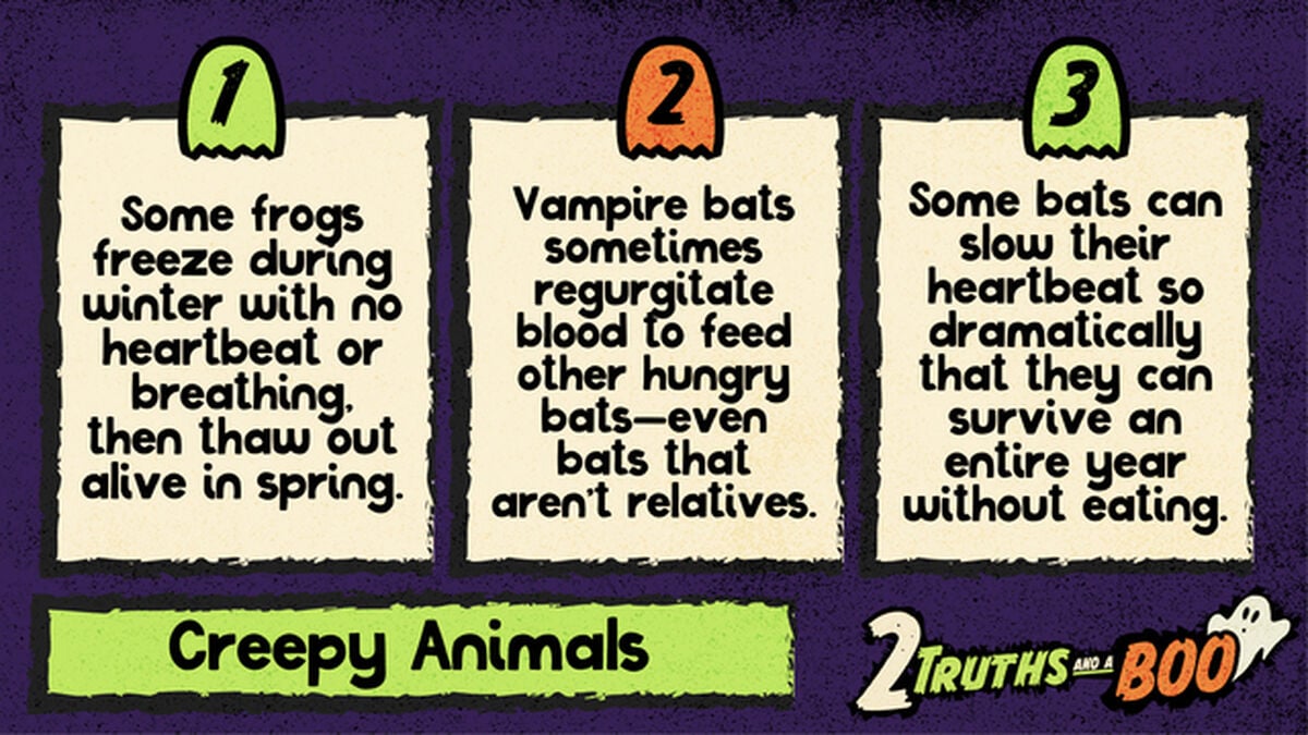 2 Truths and a Boo image number 2